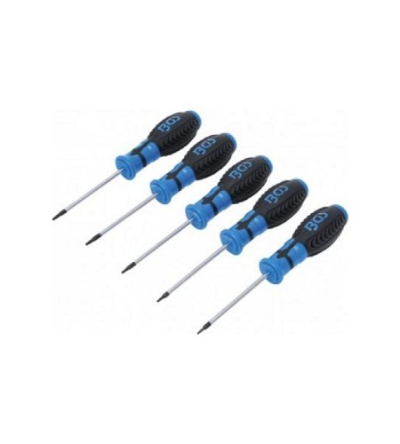 Schraubendreher-Satz | T-Profil (für Torx) | T6 - T10 | 5-tlg.