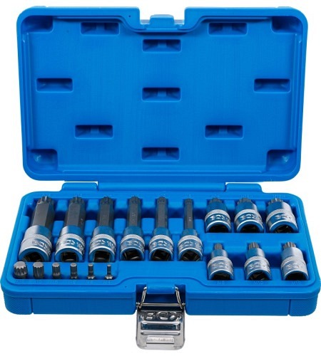 Bit-Einsatz-Satz | Antrieb Innenvierkant 6,3 mm (1/4") / 12,5 mm (1/2") | Innenvielzahn (für XZN) | 18-tlg.