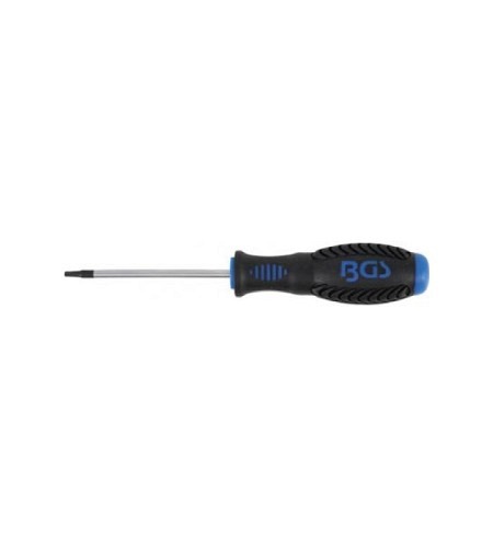 Schraubendreher | T-Profil (für Torx) T10 | Klingenlänge 80 mm