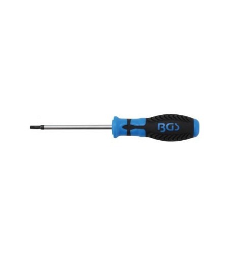 Schraubendreher | T-Profil (für Torx) T25 | Klingenlänge 100 mm