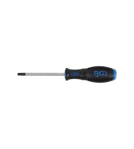 Schraubendreher | T-Profil (für Torx) T30 | Klingenlänge 100 mm