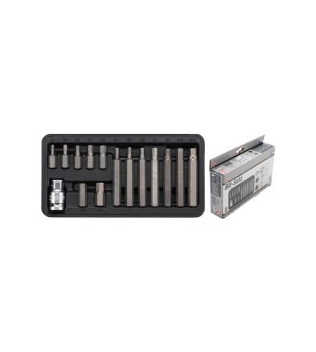Bit-Satz | Antrieb Außensechskant 10 mm (3/8") | Innensechskant 15-tlg.