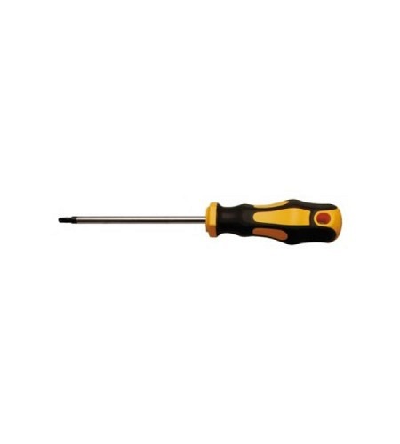 Schraubendreher | T-Profil (für Torx) T15 | Klingenlänge 100 mm