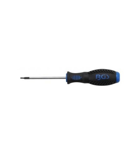 Schraubendreher | T-Profil (für Torx) mit Bohrung T8 | Klingenlänge 80 mm