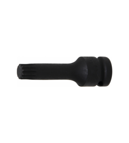 Kraft-Bit-Einsatz | Antrieb Innenvierkant 12,5 mm (1/2") | Innenvielzahn (für XZN) M14